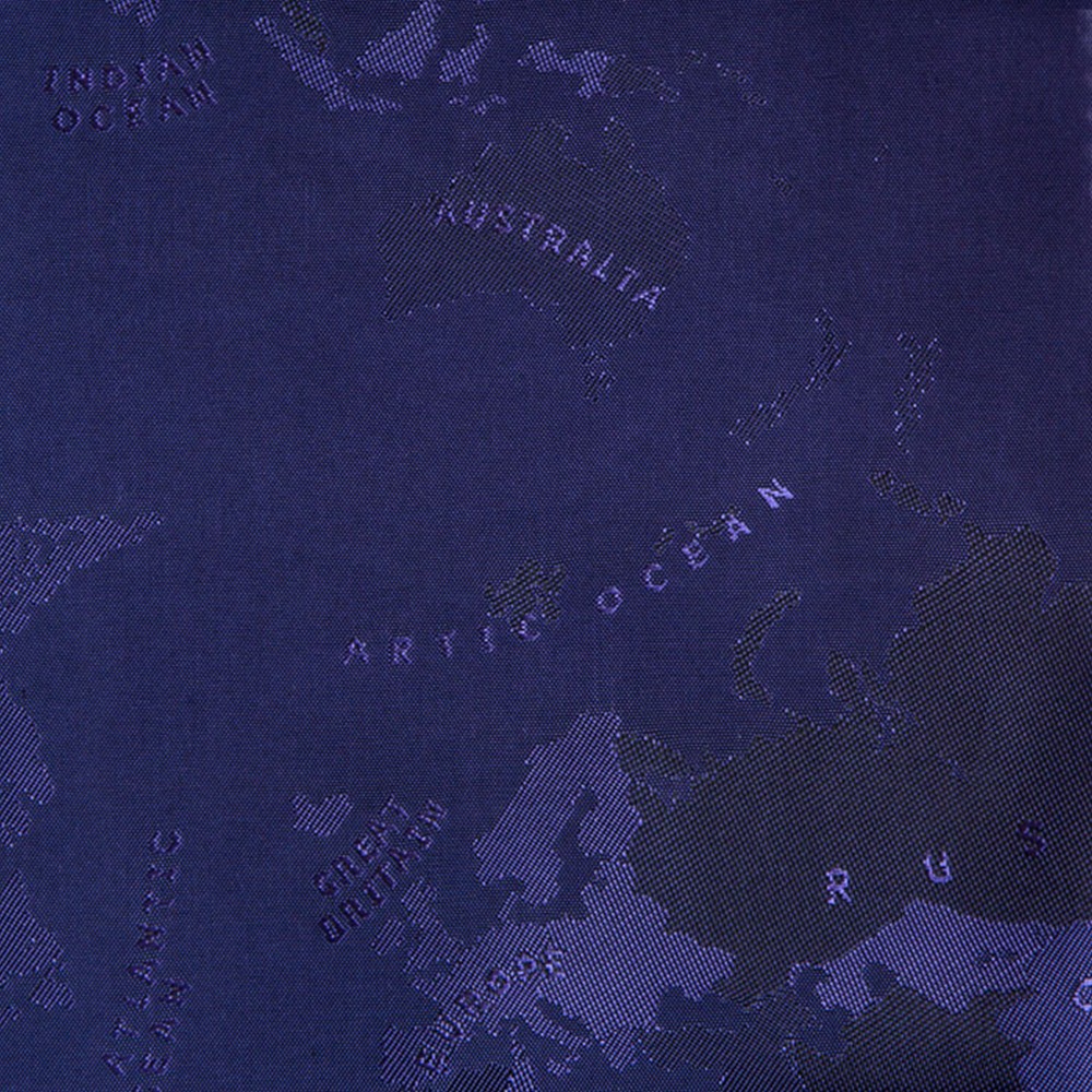 Purple World Map (GLD360021)