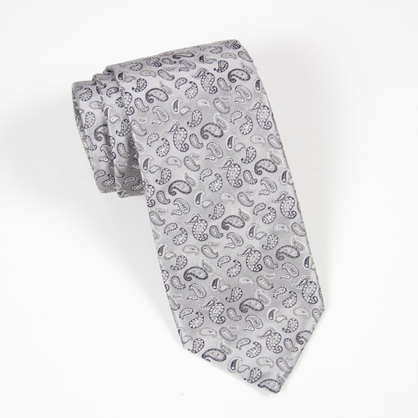 Silver w/ Small Silver Paisley Tie