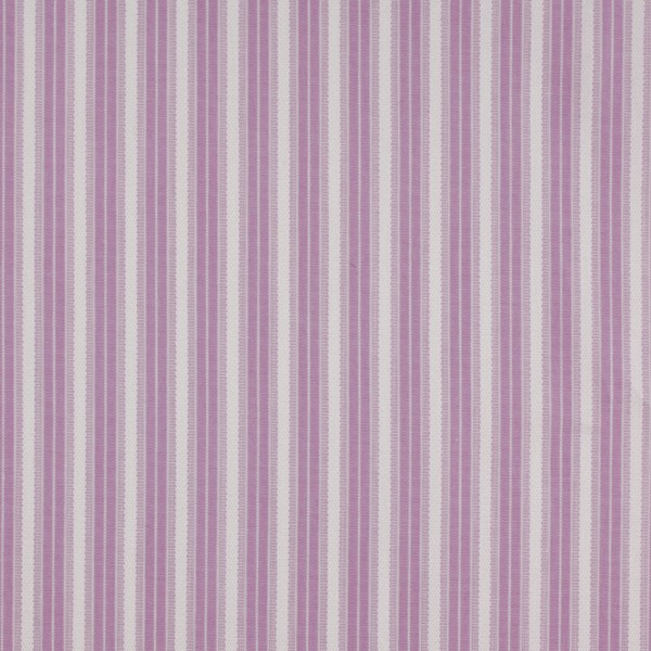 Purple/White Stripe (SV 513150-240)