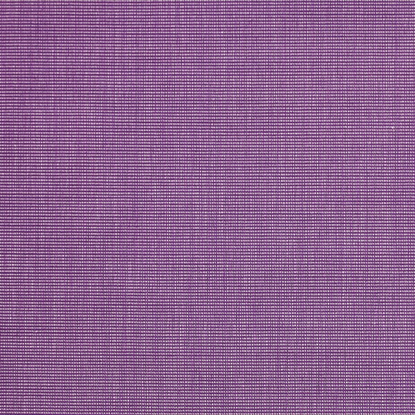 Purple Solid (SV 513361-240)