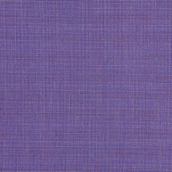 Purple Solid (SV 513366-240)