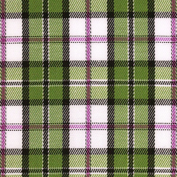 Green/Purple Check (SV 513976-240)
