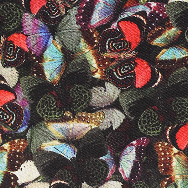 Butterflies (SV700594)