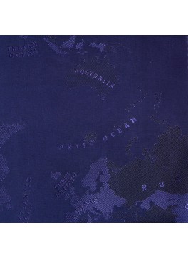 Purple World Map (GLD360021)