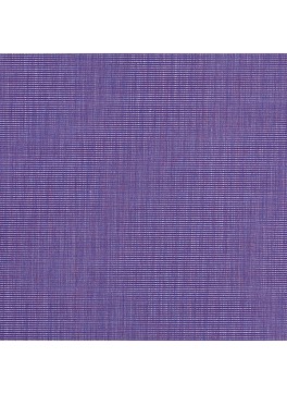Purple Solid (SV 513366-240)