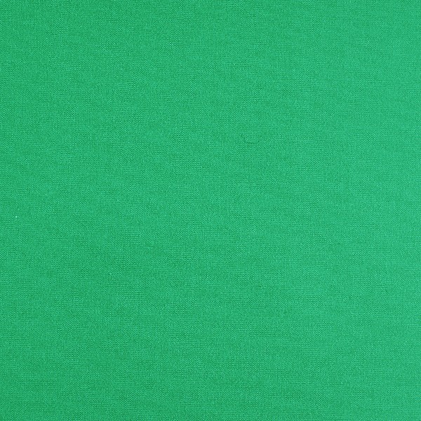 Sea Green Solid (SV 513655-240)
